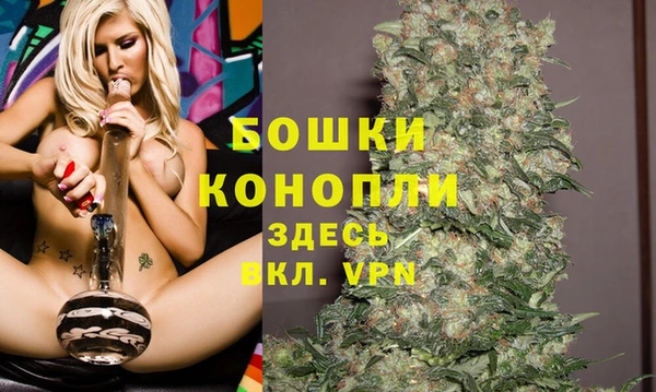 мяу мяу мука Няндома
